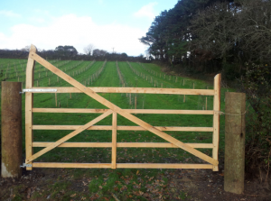 Gate For The Orchard - Truthwell Farm, St. Aubyns